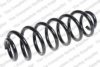 LESJ?FORS 4295111 Coil Spring